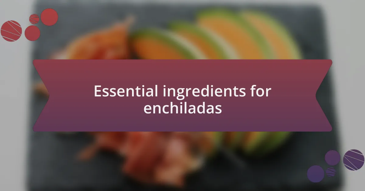 Essential ingredients for enchiladas
