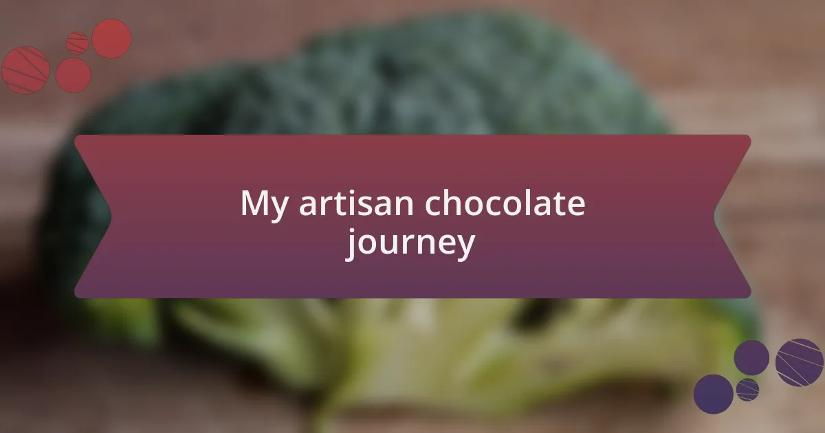 My artisan chocolate journey
